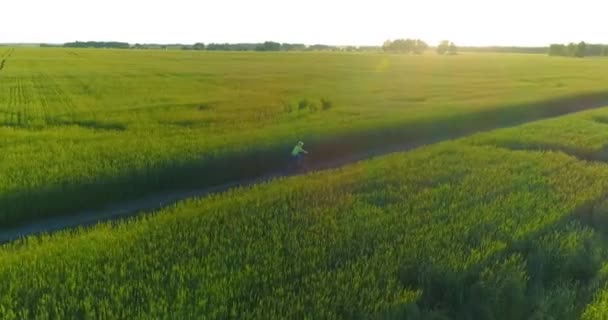 Flygfoto på ung pojke, som rider en cykel genom ett vete gräs fält på den gamla landsvägen. Solljus och strålar. — Stockvideo