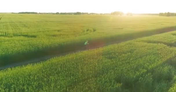 Вид с воздуха на маленького мальчика, который ездит на велосипеде по пшеничному полю на старой сельской дороге. Солнечный свет и лучи. — стоковое видео