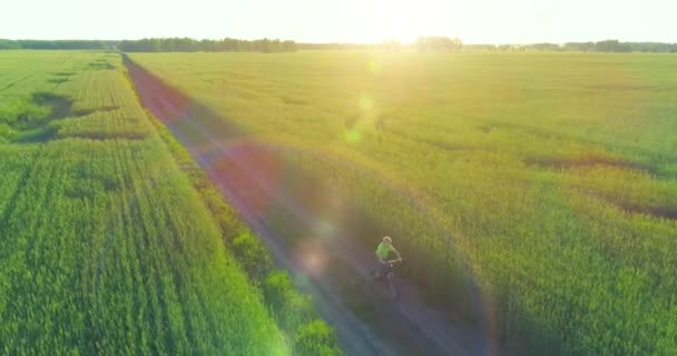 Luftaufnahme eines kleinen Jungen, der mit dem Fahrrad durch ein Weizengrasfeld auf der alten Landstraße fährt. Sonnenlicht und Sonnenstrahlen. — Stockvideo