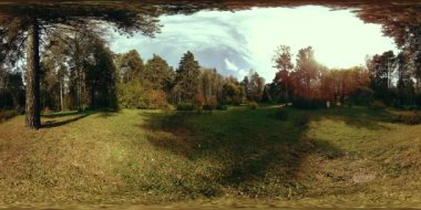 Bir şehir parkının UHD 4K 360 VR Sanal Gerçekliği. Sonbaharda ya da yaz gününde ağaçlar ve yeşil çimenler