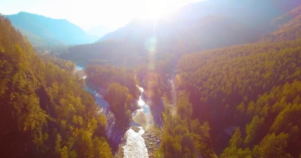 Vôo a meio do ar sobre o rio e o prado frescos da montanha na manhã ensolarada do verão. Estrada de terra rural abaixo. — Vídeo de Stock