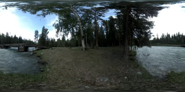 360 VR virtuell verklighet av en vild skog. Tallskog, liten snabb, kall fjällälv. National park. — Stockvideo