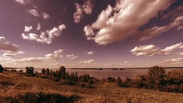 Timelapse de la orilla del océano y el prado de hierba en el verano u otoño. Naturaleza salvaje, costa marítima y campo rural . — Vídeo de stock