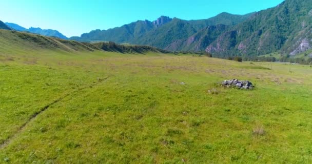 牧草地で野生の馬の群れの上の飛行。春の山野生の自然。自由生態学の概念. — ストック動画