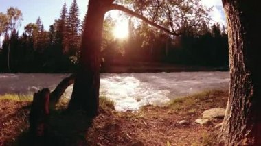 Dağ nehri kıyısındaki çayır. Yeşil çimlerle, çam ağaçlarıyla ve güneş ışınlarıyla kaplı bir manzara. Motorlu kaydırma kulesinde hareket.