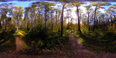 Bir şehir parkının UHD 4K 360 VR Sanal Gerçekliği. Sonbaharda ya da yaz gününde ağaçlar ve yeşil çimenler