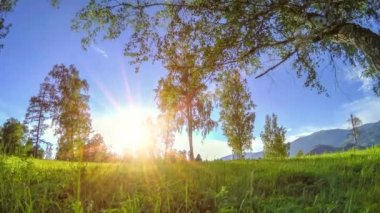 Yaz veya sonbahar aylarında dağ çayır zaman atlamalı. Vahşi doğa ve kırsal alan. Motorlu sürgü dolly hareketi.