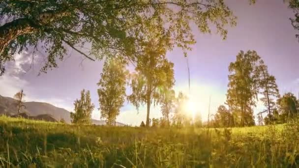 Berg äng Time-lapse på sommaren eller höst tiden. Vild natur och landsbygd. Motoriserad Slider Dolly rörelse. — Stockvideo