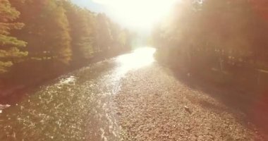 Güneşli yaz sabahında kayalarla birlikte taze, hızlı dağ nehri üzerinde alçak irtifa uçuşu..