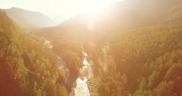 Laaggelegen vlucht over verse snelle bergrivier met rotsen op zonnige zomerochtend. — Stockvideo