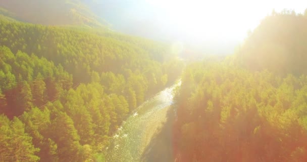 日当たりの良い夏の朝に岩と新鮮な速い山の川の上の低高度飛行. — ストック動画