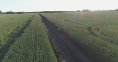 Kırsal yoldaki bir çim tarlasında bisiklet süren genç bir çocuğun hava manzarası. Güneş ışığı ve ışınlar.