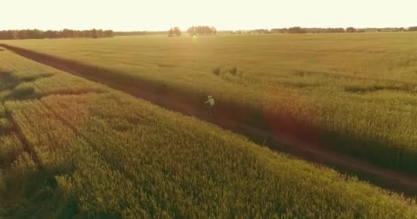 Vue aérienne sur le jeune garçon, qui monte à vélo à travers un champ d'herbe de blé sur la vieille route rurale. Lumière du soleil et rayons. — Video