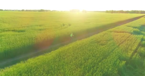 Vista aérea sobre el niño, que monta en bicicleta a través de un campo de hierba de trigo en el viejo camino rural. Luz solar y rayos. — Vídeo de stock