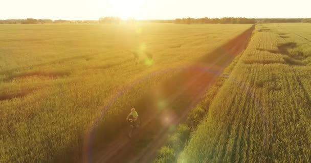 空中俯瞰着小男孩，那是骑自行车穿过老乡路上的麦田。阳光和光束. — 图库视频影像