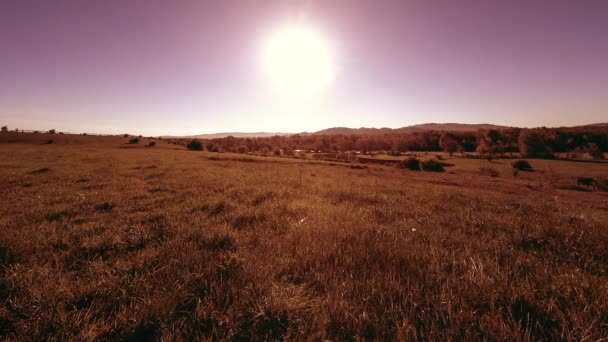 4K UHD montanha prado timelapse no verão. Nuvens, árvores, grama verde e movimento de raios solares. — Vídeo de Stock