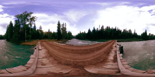 360 VR virtuell verklighet av en vild skog. Tallskog, liten snabb, kall fjällälv. National park. — Stockvideo