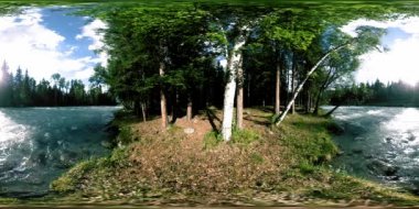Vahşi bir ormanın 360 VR sanal gerçekliği. Çam ormanı, küçük, hızlı, soğuk dağ nehri. Ulusal park.