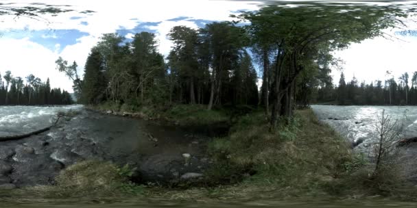 360 VR realidade virtual de uma floresta selvagem. Floresta de pinheiro, pequeno e rápido rio de montanha frio. Parque nacional. — Vídeo de Stock