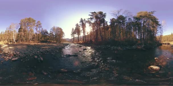 360 VR réalité virtuelle d'une montagne sauvage, pinède et rivière coule. Parc national, prairie et rayons du soleil. — Video