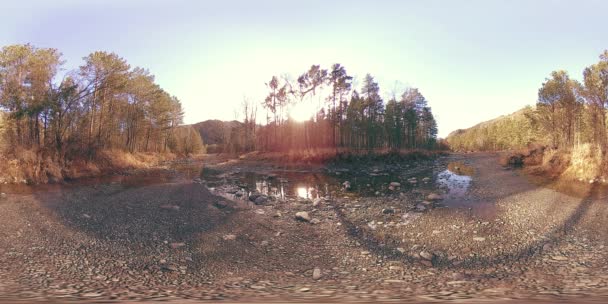 360 VR realidade virtual de uma montanha selvagem, pinhal e fluxos de rio. Parque nacional, prado e raios de sol. — Vídeo de Stock