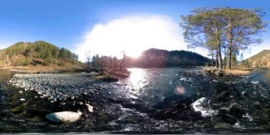 Vahşi dağların, çam ormanlarının ve nehir akışlarının 360 VR sanal gerçekliği. Ulusal park, çayır ve güneş ışınları.