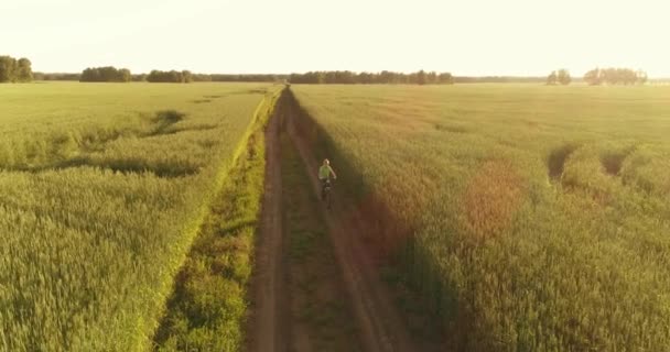 Luchtfoto op jonge jongen, die rijdt op een fiets door een graan grasveld op de oude landelijke weg. Zonlicht en stralen. — Stockvideo