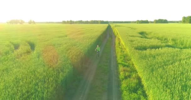 Vista aérea sobre o menino, que monta uma bicicleta através de um campo de grama de trigo na antiga estrada rural. Luz solar e vigas. — Vídeo de Stock