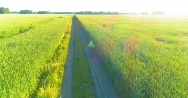 少年は、古い農村部の道路上のコムギの芝生のフィールドを介して自転車に乗るの空中ビュー。日光と梁. — ストック動画