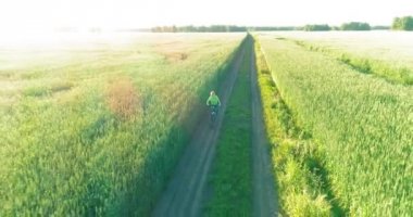 Kırsal yoldaki bir çim tarlasında bisiklet süren genç bir çocuğun hava manzarası. Güneş ışığı ve ışınlar.
