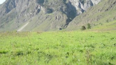Sırt çantası ile yeşil dağ çayır üzerinde yürüyen adam hiking. Yaz spor ve eğlence kavramı.
