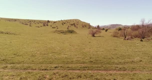 Vuelo sobre el rebaño de caballos salvajes en el prado de montaña. Verano montañas naturaleza salvaje. Concepto de ecología de libertad. — Vídeos de Stock