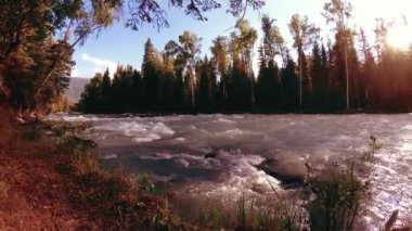 Dağ nehri kıyısındaki çayır. Yeşil çimlerle, çam ağaçlarıyla ve güneş ışınlarıyla kaplı bir manzara. Motorlu kaydırma kulesinde hareket.