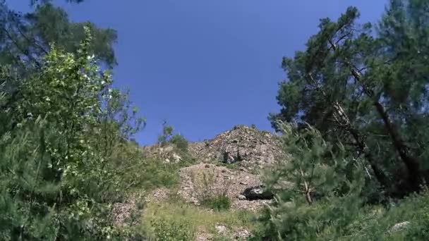 4K UHD hegyi időeltolódás nyáron. Felhők zöld fák és napsugarak mozgása. — Stock videók