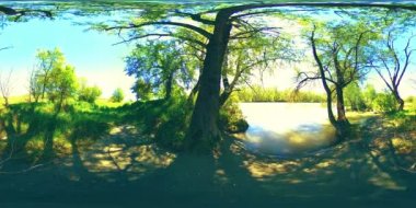 UHD 4K 360 VR Bir nehrin Sanal Gerçekliği güzel dağ ormanlarında kayaların üzerinden akıyor