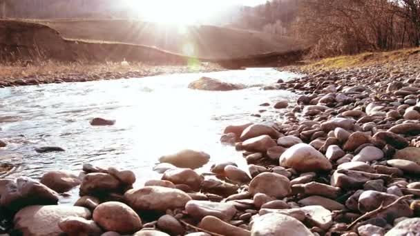 Dolly slider shot van het spetterende water in een berg rivier in de buurt van bos. Natte rotsen en zonnestralen. Horizontale constante beweging. — Stockvideo