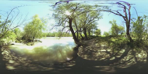 UHD 4k 360 Vr Virtual Reality van een rivier stroomt over rotsen in het prachtige berglandschap van de bos — Stockvideo