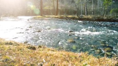 Dolly ormanın yakınındaki bir dağ nehrinde akan suyun kaygan görüntüsü. Islak kayalar ve güneş ışınları. Yatay sabit hareket.