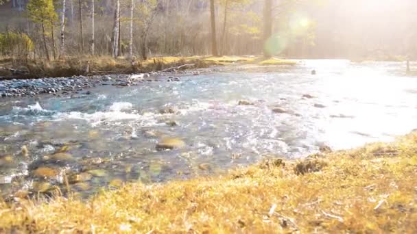 森の近くの山の川で水しぶきのドリースライダーショット。ぬれた岩や太陽の光線。水平安定運動. — ストック動画