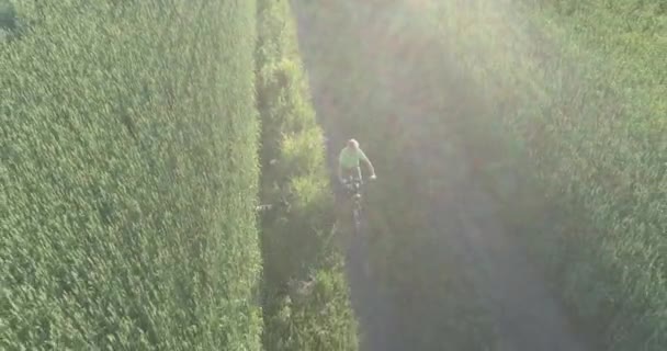 Vista aérea sobre o menino, que monta uma bicicleta através de um campo de grama de trigo na antiga estrada rural. Luz solar e vigas. — Vídeo de Stock