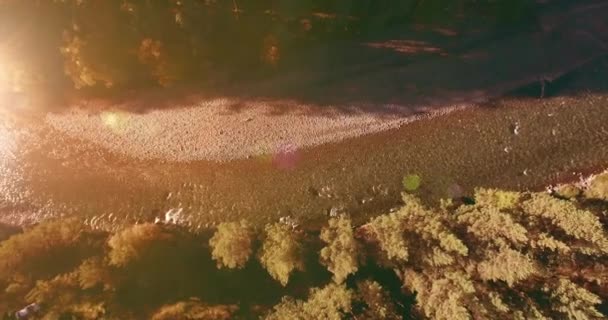 Volo a bassa quota sul fresco fiume di montagna veloce con rocce al soleggiato mattino d'estate. — Video Stock