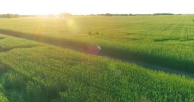 Kırsal yoldaki bir çim tarlasında bisiklet süren genç bir çocuğun hava manzarası. Güneş ışığı ve ışınlar.
