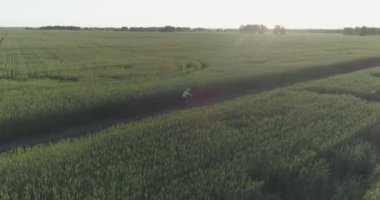 Kırsal yoldaki bir çim tarlasında bisiklet süren genç bir çocuğun hava manzarası. Güneş ışığı ve ışınlar.