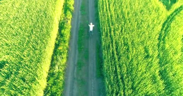 Flygfoto på ung pojke, som rider en cykel genom ett vete gräs fält på den gamla landsvägen. Solljus och strålar. — Stockvideo