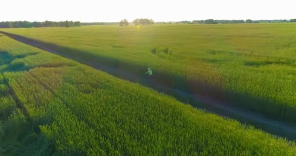 Luftaufnahme eines kleinen Jungen, der mit dem Fahrrad durch ein Weizengrasfeld auf der alten Landstraße fährt. Sonnenlicht und Sonnenstrahlen. — Stockvideo