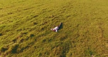 Yeşil çimlerin üzerinde sarı kırsal alanda not defteri olan bir adamın etrafında alçak yörünge uçuşları..