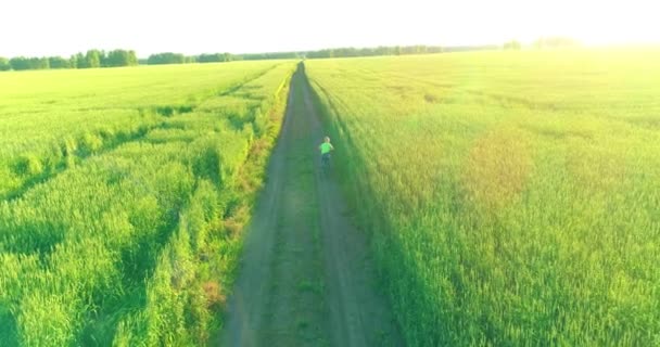 Vista aérea sobre o menino, que monta uma bicicleta através de um campo de grama de trigo na antiga estrada rural. Luz solar e vigas. — Vídeo de Stock
