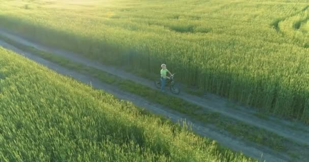 Flygfoto på ung pojke, som rider en cykel genom ett vete gräs fält på den gamla landsvägen. Solljus och strålar. — Stockvideo