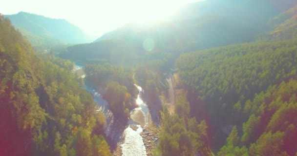 Lot na niskiej wysokości nad rzeką szybką, świeżą górską rzeką z kamieniami w słoneczny letni poranek. — Wideo stockowe