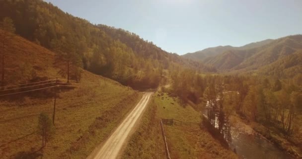 Vol à basse altitude au-dessus d'une rivière de montagne fraîche et rapide avec des rochers au soleil matin d'été.